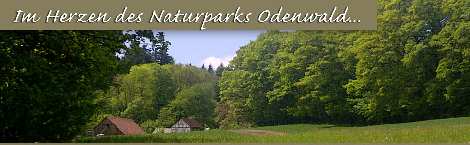 Campingplatz Waldesruh auf der Tromm 27